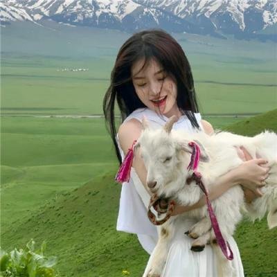 醉生梦死之湾仔之虎